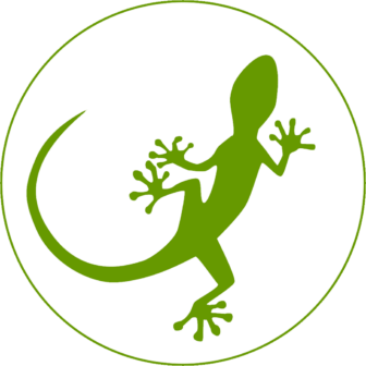 Gecko Logo